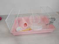 Cusca hamster si accesorii