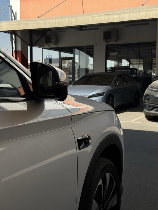 byd chempion smart live 2025 yil