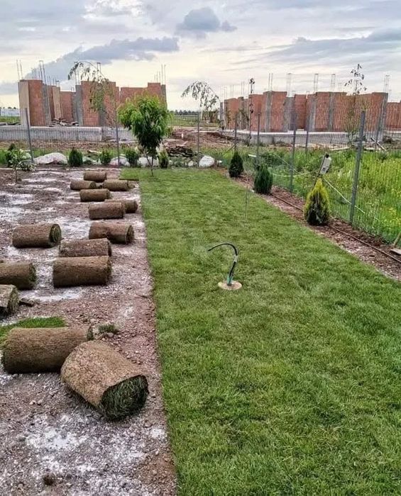 Pachet gazon +montaj 50 ron