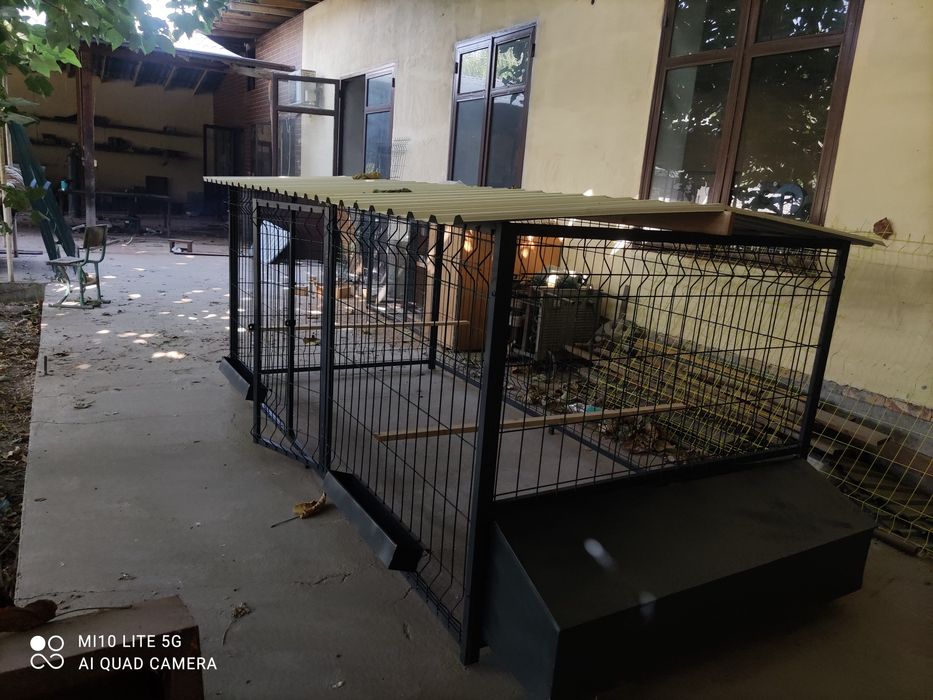 Tovuq kataklar zarborinniy