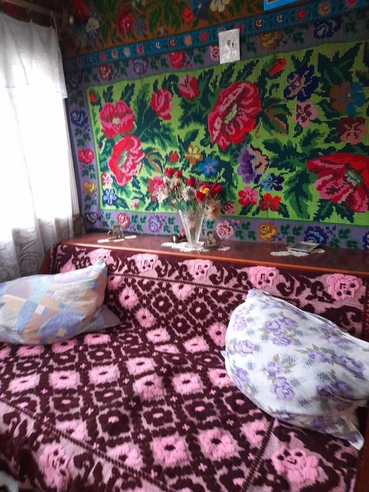 Casa in Soveja/ Vrancea la strada