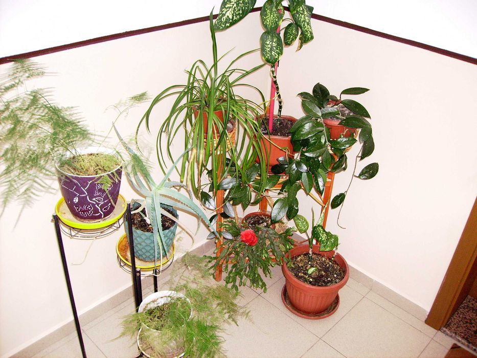 фотоапарат Pentax Optio E10