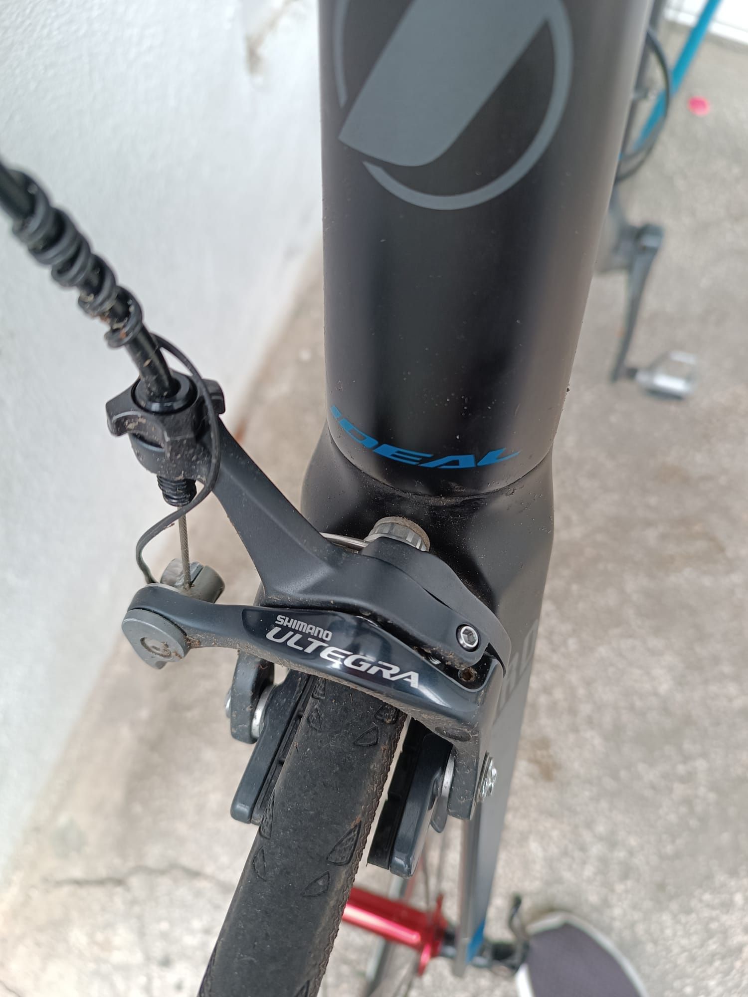 Cursiera Ideal Carbon Shimano Ultegra