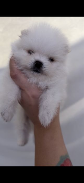 Крошечка с ладошечку. Мальчик