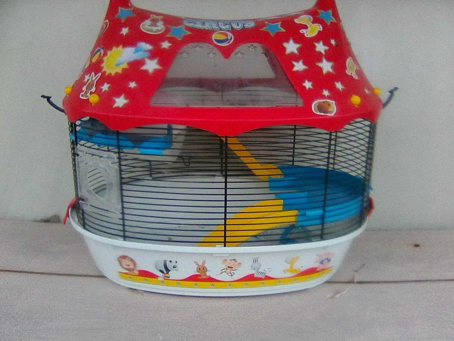 hamsteri pitici siberieni si cusca la cerere