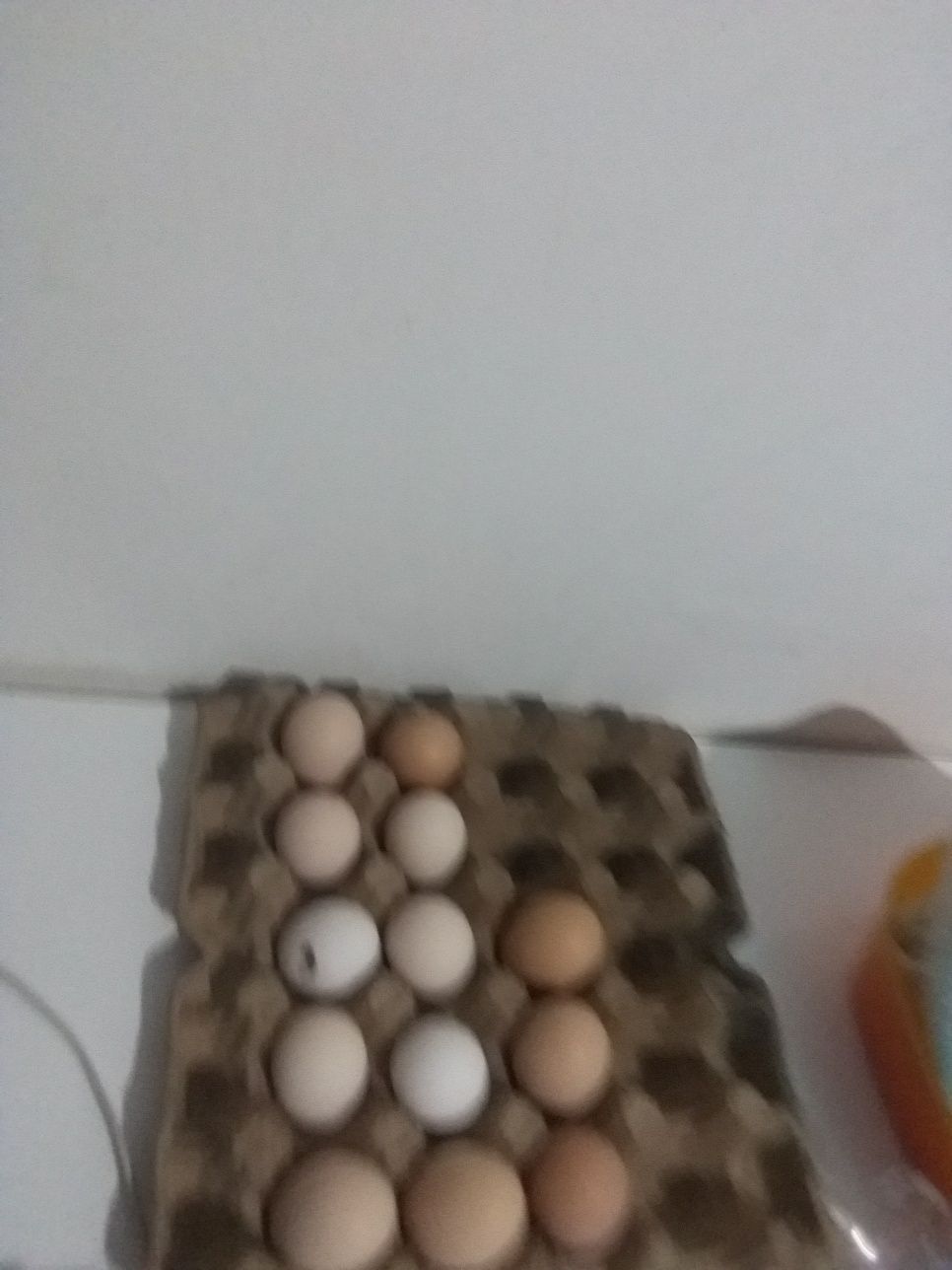 яйцо домашнее продам