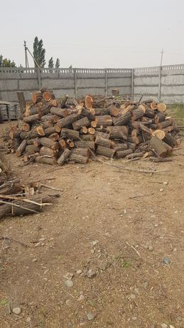 Продам дрова Карагач
