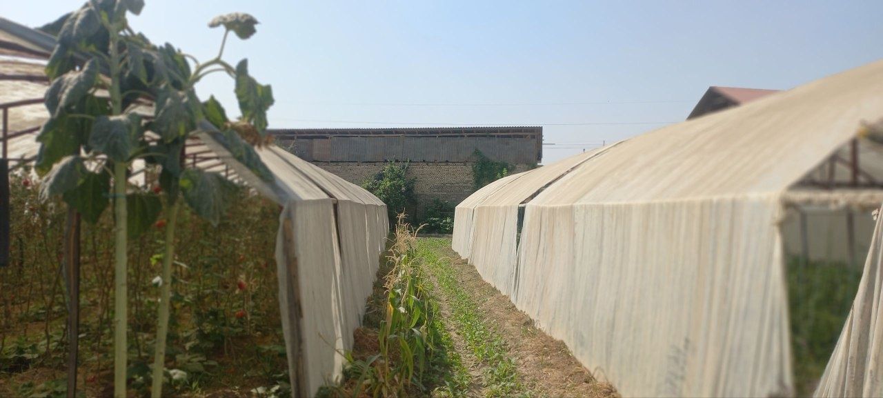Hovli sotiladi, 1 sotixi $4500 dan
