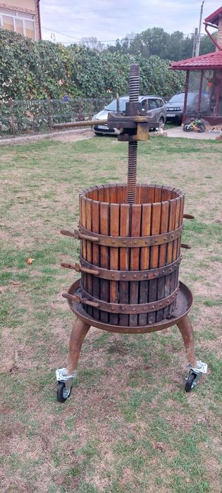 Teasc struguri 100 litrii import Italia