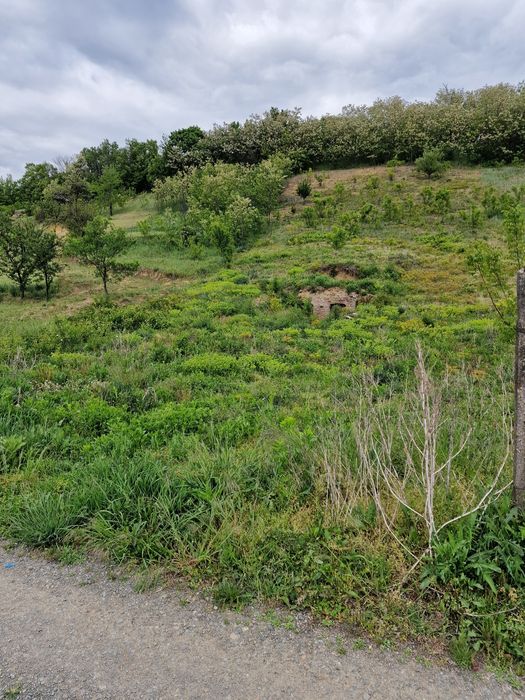 Vand teren intravilan ideal pentru cabana sau corturi glamping