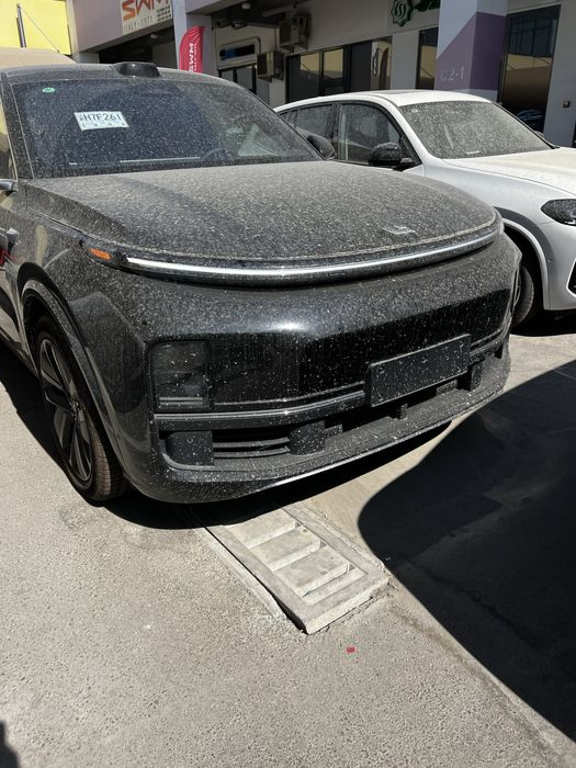 Lixang Li 9 ultra