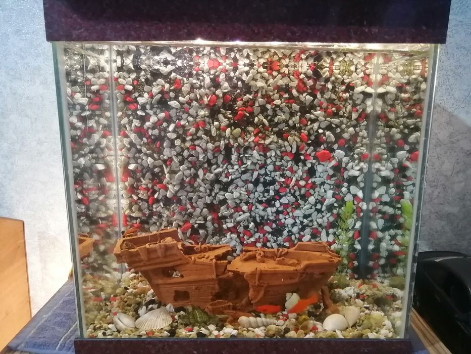 Аквариум 30 литров