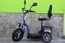 Електрическа Триколка 750W MaxMotors Директен Внос А3
