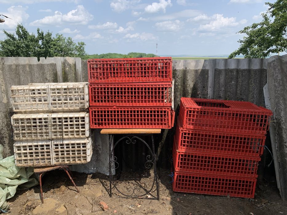 Cuști de păsări-150 de lei bucata .