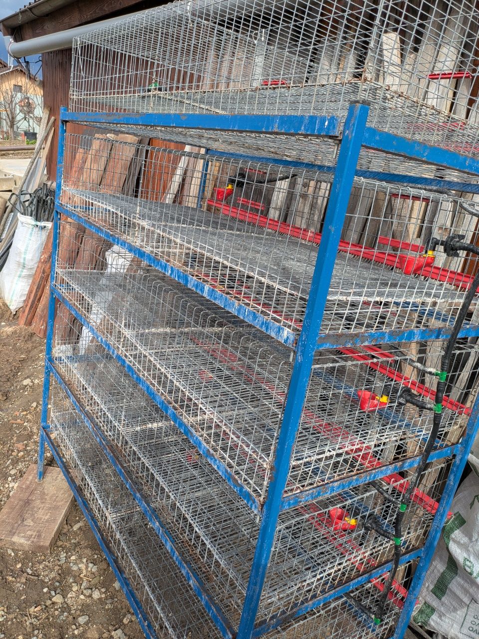 Rastel complet accesorizat prepelițe