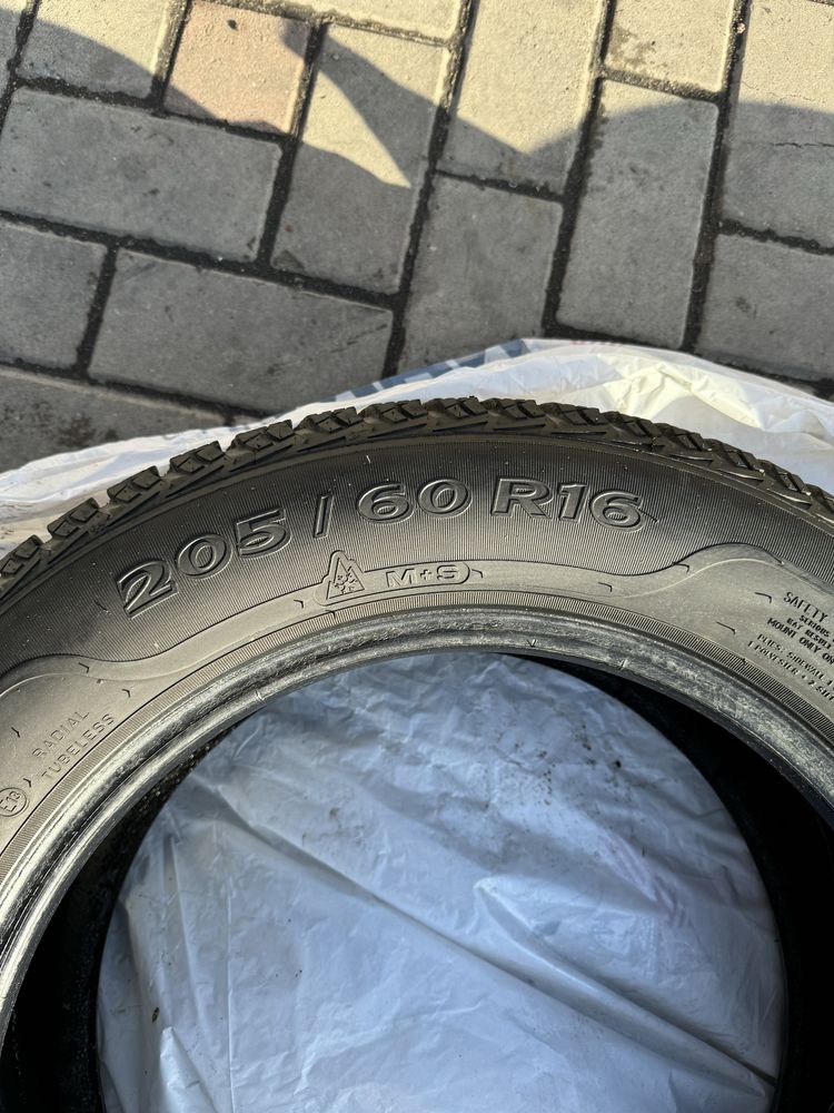 Sava Eskimo ICE 205/60 R16