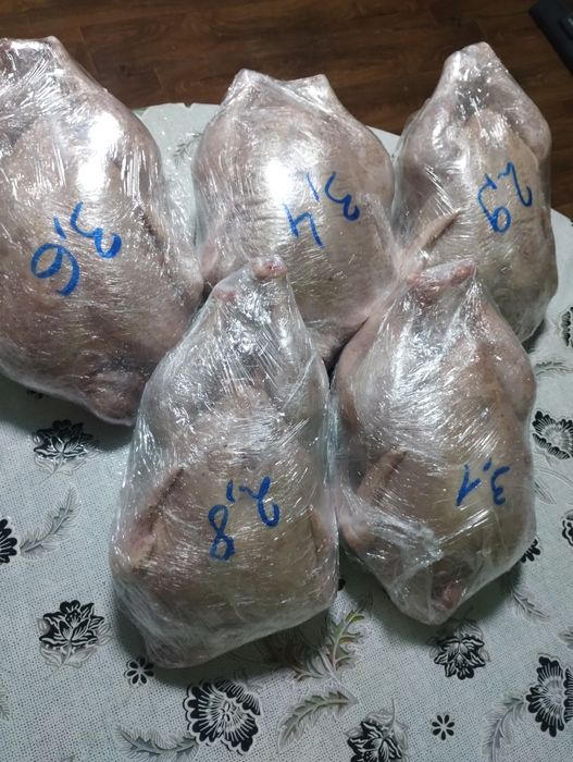 Деревенское Мясо Бройлера