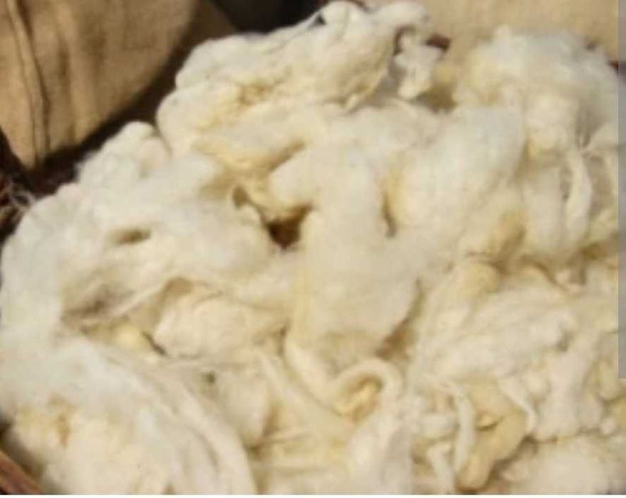 Чиста дарашка вълна