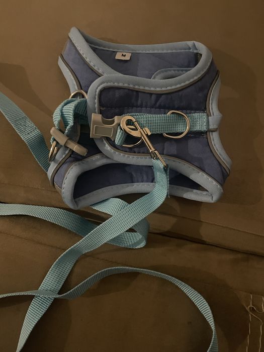 Vand ham de pisica nou