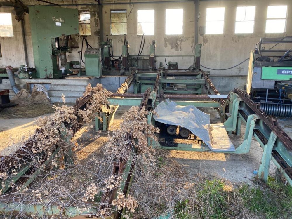 Se vinde Gater Primultini