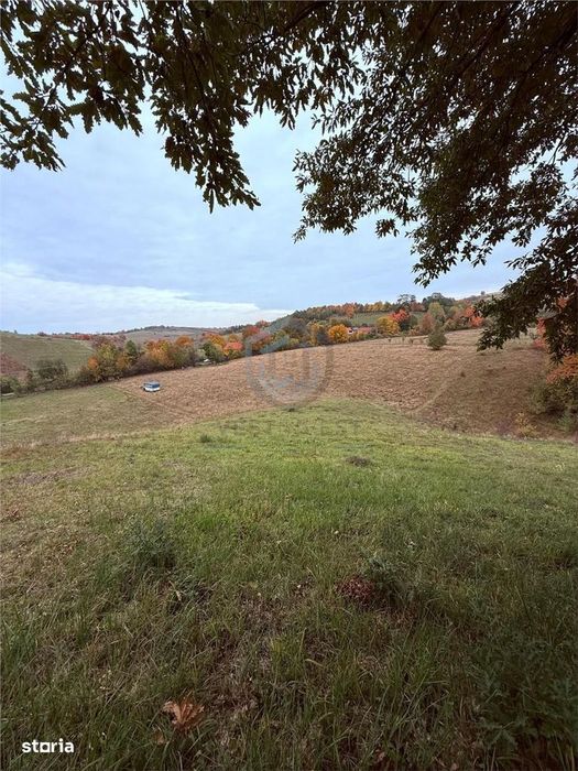 Teren intravilan 17,265 mp in Tomnatic, comuna Vadu Crisului