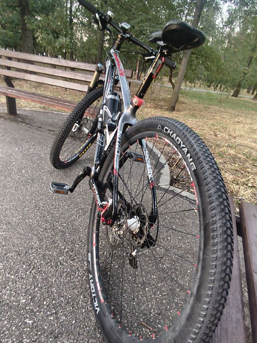 Olympia full carbon "29