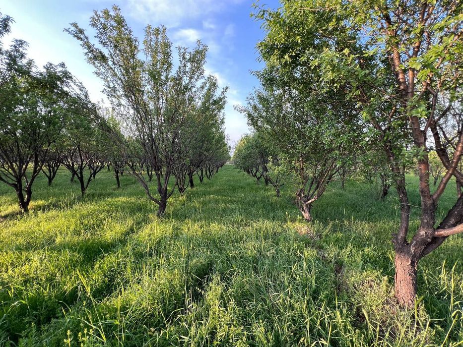 Срочно продаётся земельный участок площадью 1гектар