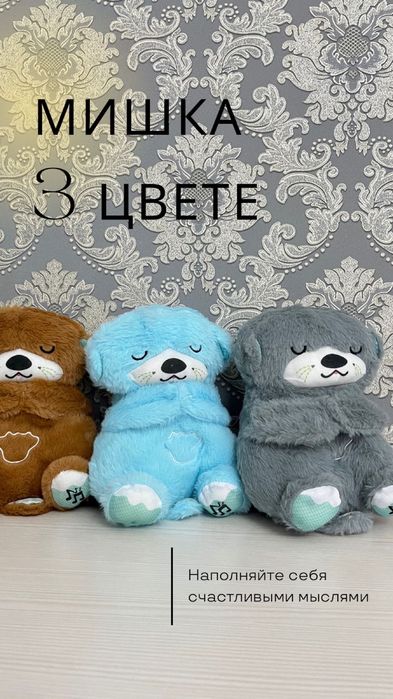 Мишки новый дем алатын мишкаго крч