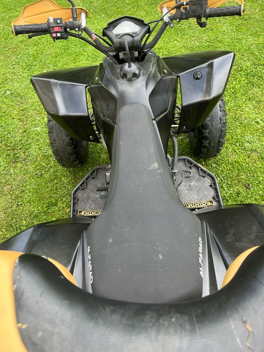 ATV Alpha Quads - 2019
