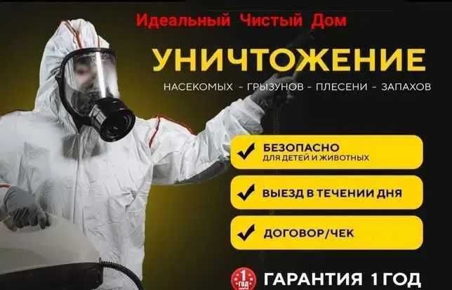 Дезинфекция Dezinfeksiya Уничтожение тараканов клопов tarakan klopa