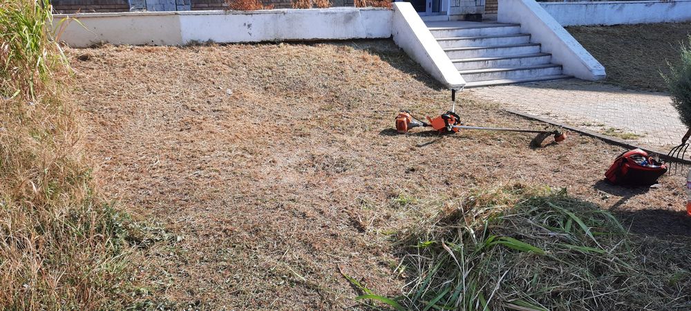 Curățare -defrisare terenuri iarba arbusti copaci ambrozie