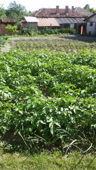 Продава се Къща в София, 7-ми 11-ти километър - 150 кв.м за 700 €/кв.м - Снимка #5