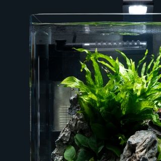 Filtru acvariu Dennerle Nano 10-40l
