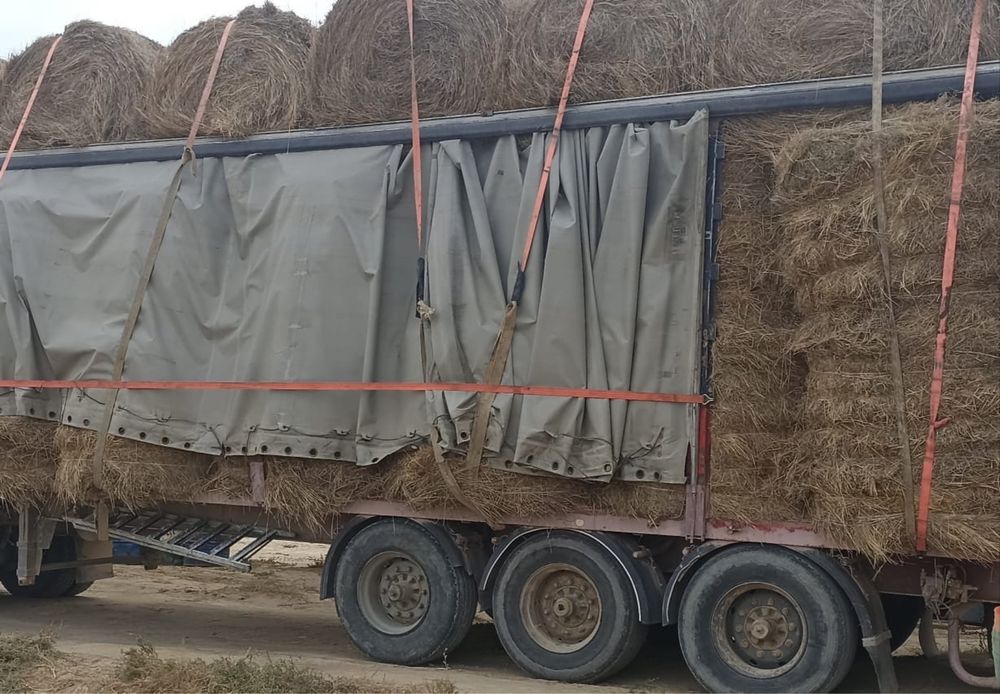 Шөп сатылалы (рулон сена)