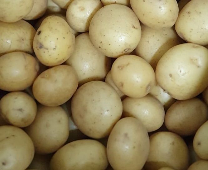 Cartofi mici de vanzare
