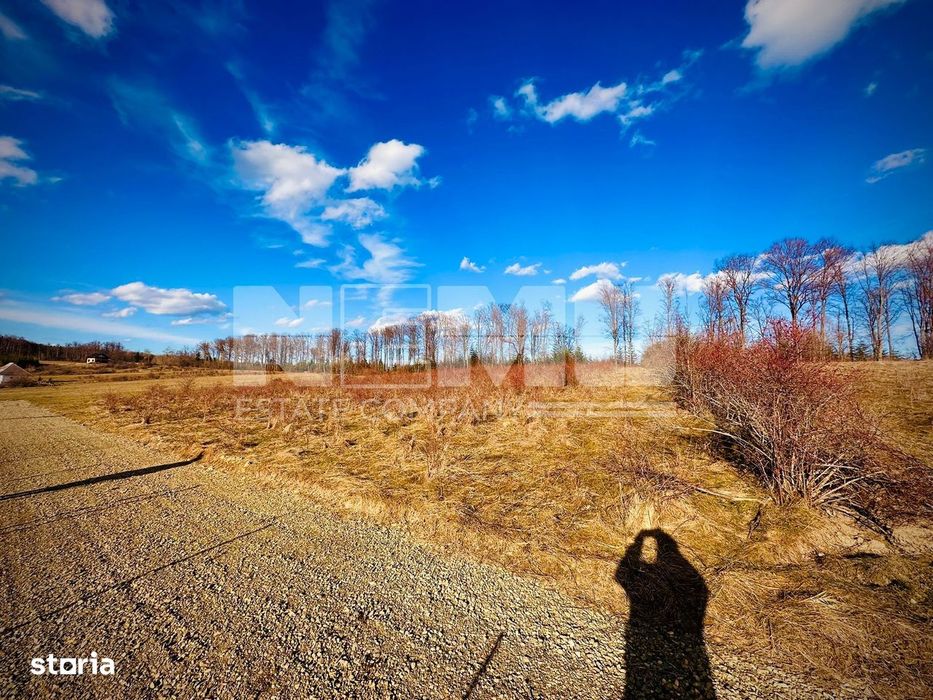 Teren intravilan | 48 ARI | Voivodeasa