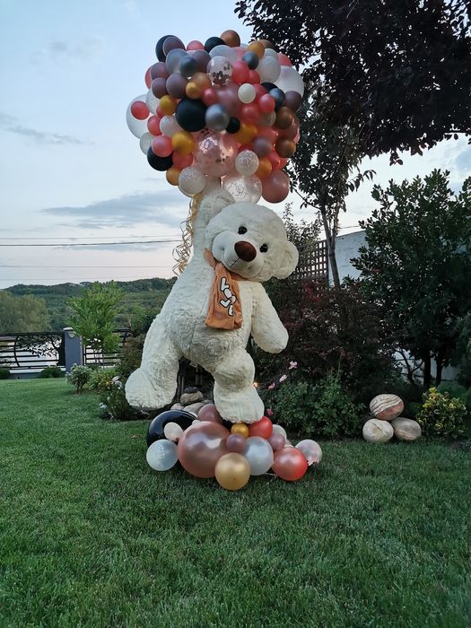 Decorațiune eveniment 300 de lei