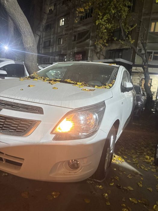 Bez probekt kobilt sotiladi