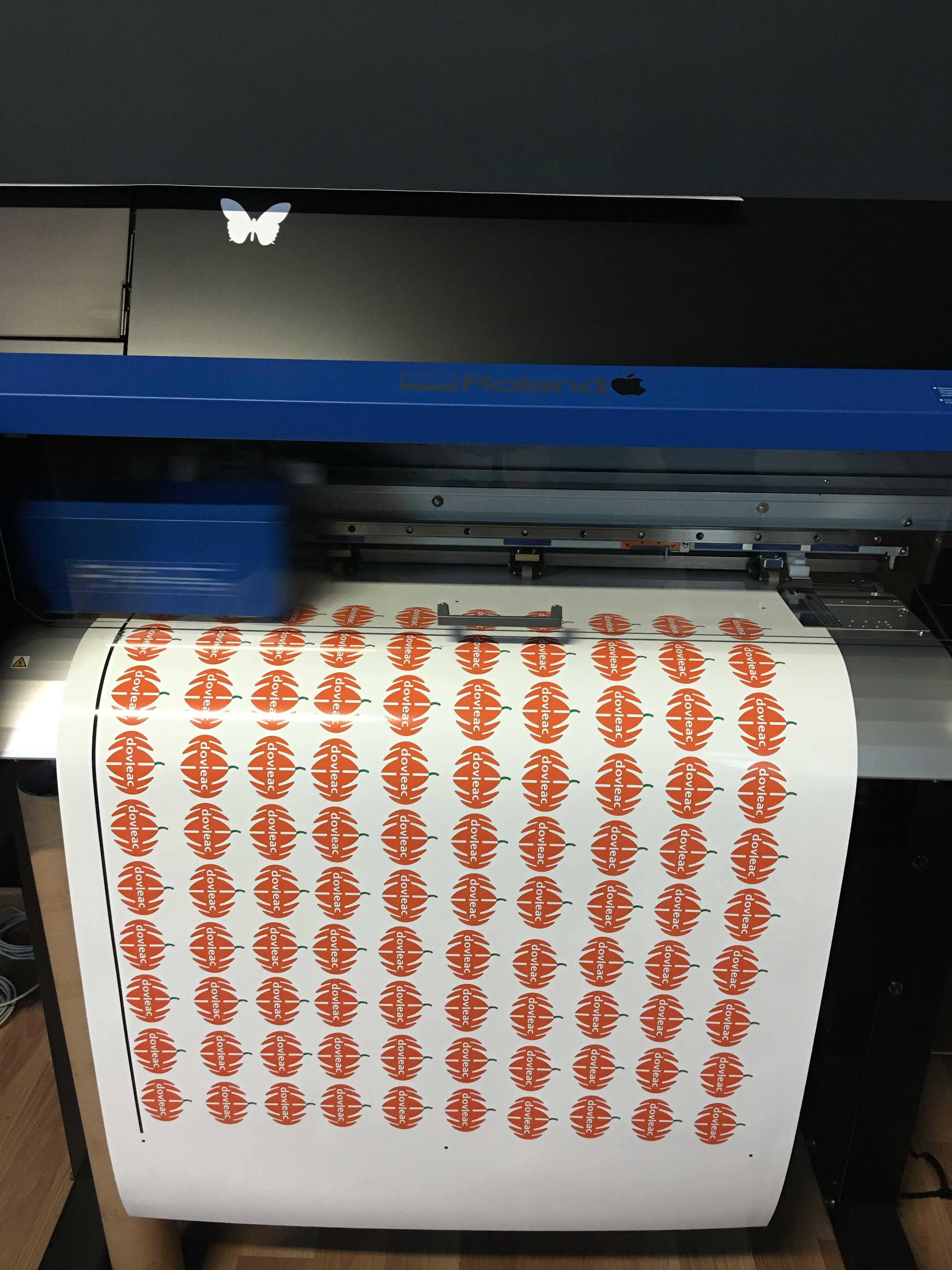 Printer Cutter Roland SG 300 Folosit putin
