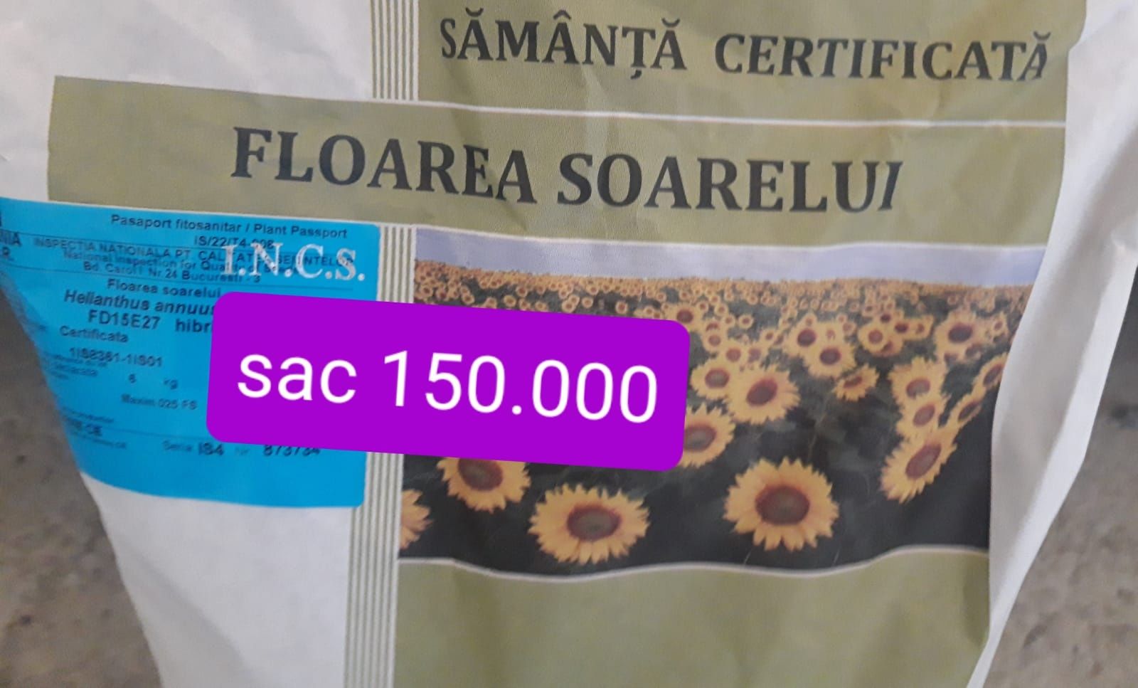 Samanta Porumb Certificat,Floarea Soarelui FD15E27, Lucerna