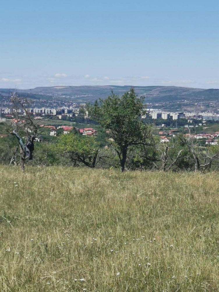 Vand teren livada Borhanci