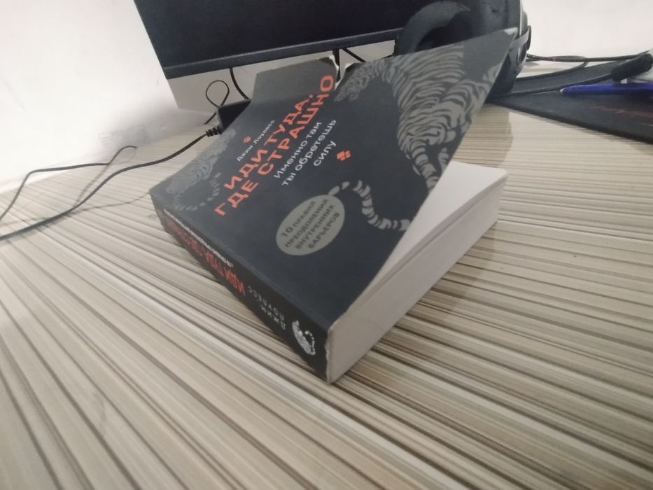 Иди туда где сташно книга в хорошем качестве