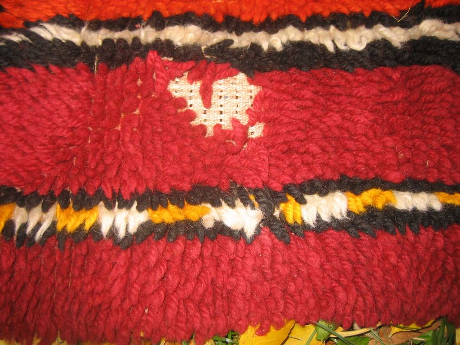 Китеник * Царска корона * - 210/145 !