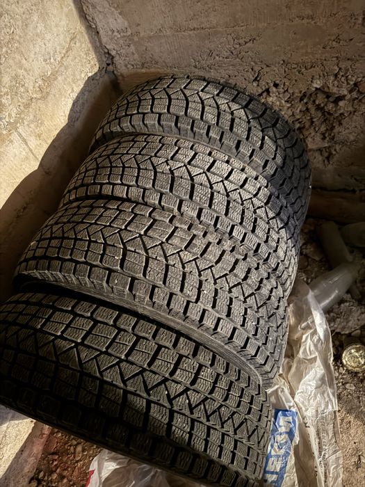 Шины зимние Maxxis