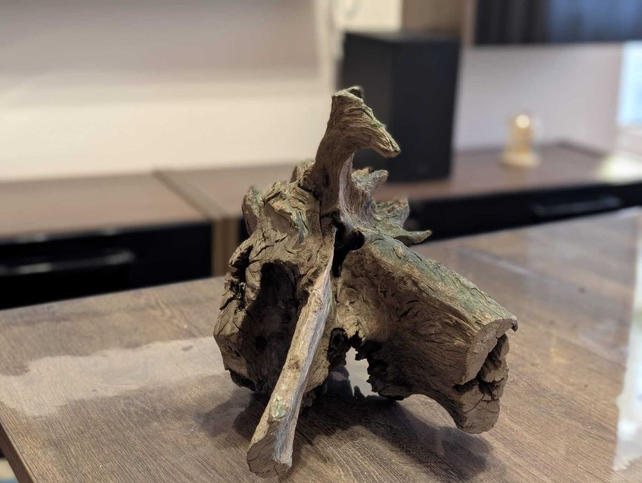 Vand lemn natural decor acvariu