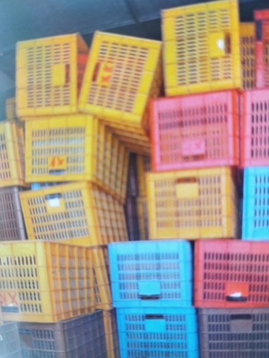 Ящики пластмассовые