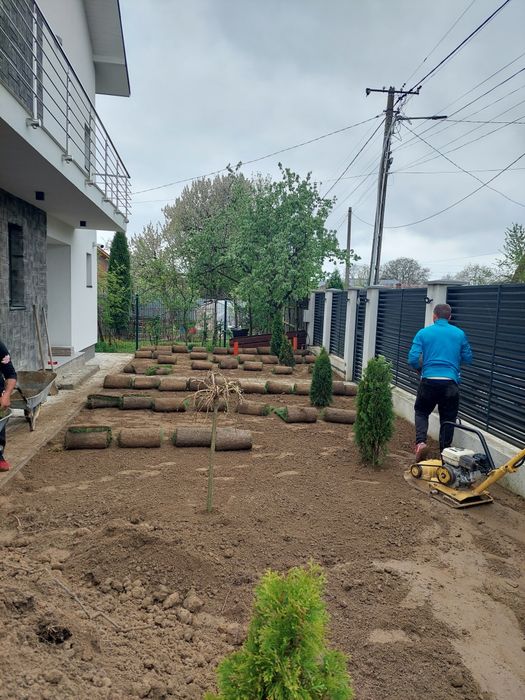 Amenajări grădini gazon și plante ornamentale