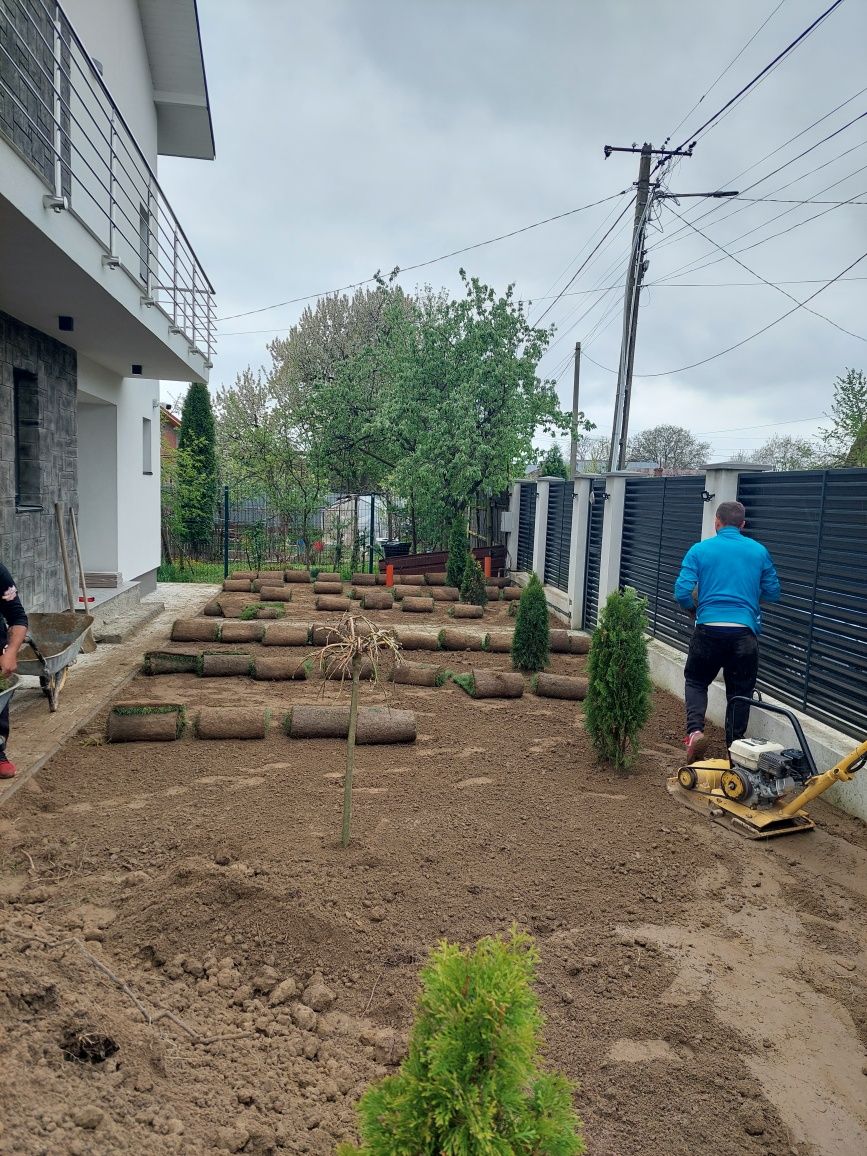 Amenajări grădini gazon și plante ornamentale