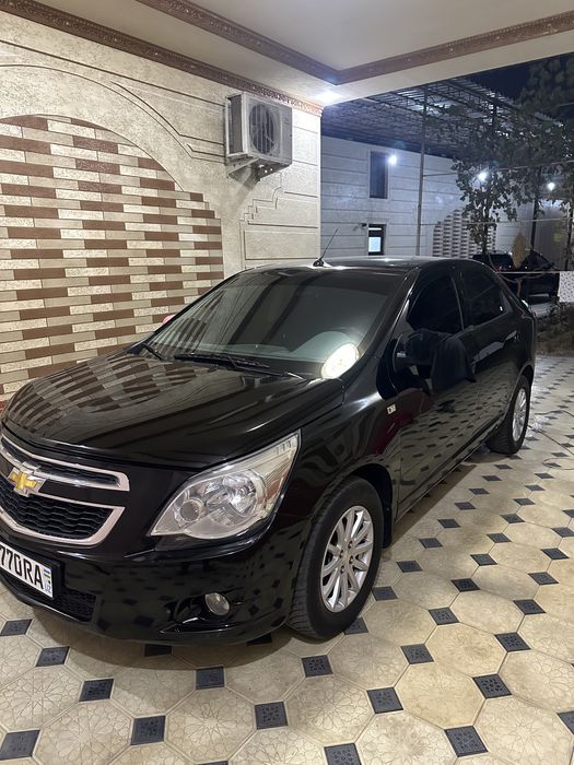 Cobalt qora-gbo 2023texpaspot