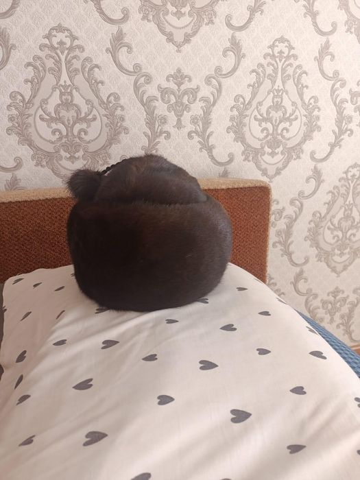 Меховая шапка из норки